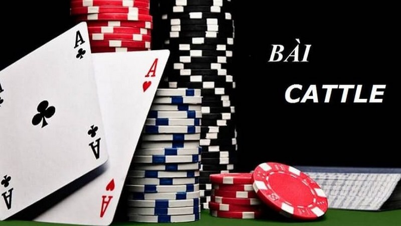 bai catte 1 Bài Catte được săn đón và yêu thích hiện nay